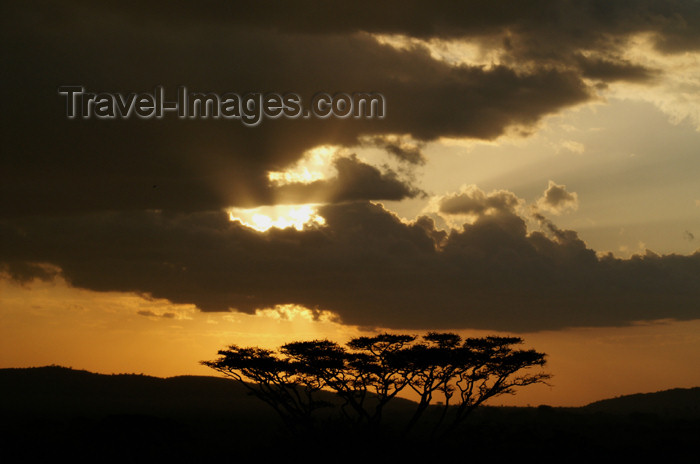 tanzania181: Tanzania - Sunset over Serengeti National Park - photo by A.Ferrari - (c) Travel-Images.com - Stock Photography agency - Image Bank