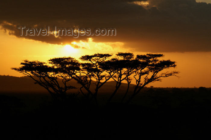 tanzania182: Tanzania - Sunset over Serengeti National Park - photo by A.Ferrari - (c) Travel-Images.com - Stock Photography agency - Image Bank