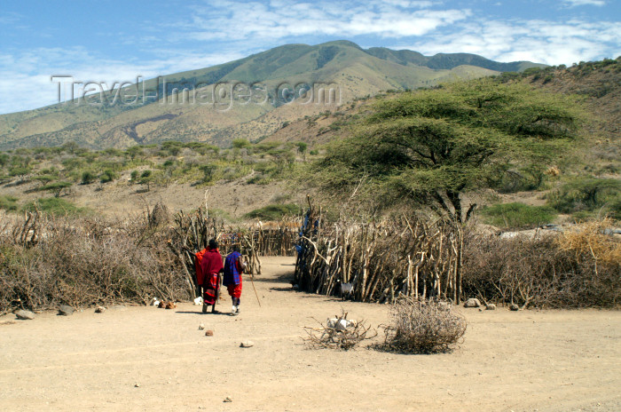 tanzania183: Tanzania - entering a Masai village near Ngorongoro Crater - photo by A.Ferrari - (c) Travel-Images.com - Stock Photography agency - Image Bank