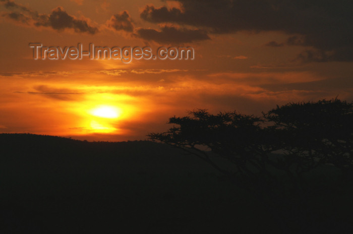 tanzania184: Tanzania - Serengeti National Park: sunset - photo by A.Ferrari - (c) Travel-Images.com - Stock Photography agency - Image Bank