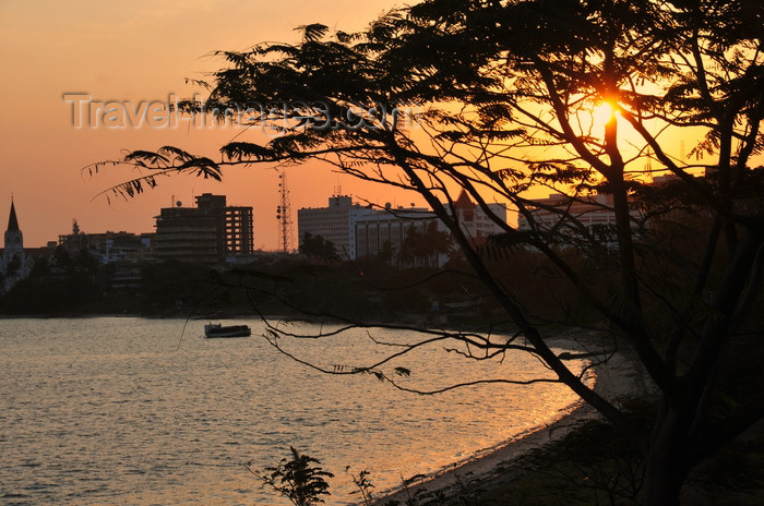 tanzania209: Dar es Salaam, Tanzania: sunset on the bay - acacia tree and the waterfront - photo by M.Torres - (c) Travel-Images.com - Stock Photography agency - Image Bank