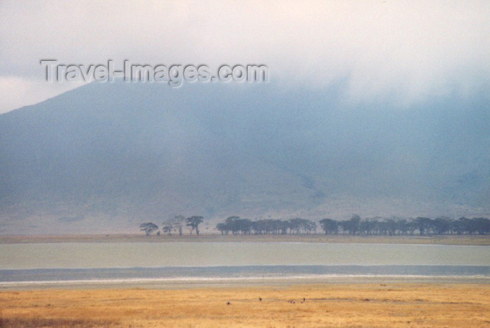 tanzania21: Tanzania - Tanganyika - Ngorongoro: under the crater walls - former volcano - UNESCO World Heritage Site - photo by N.Cabana - (c) Travel-Images.com - Stock Photography agency - Image Bank