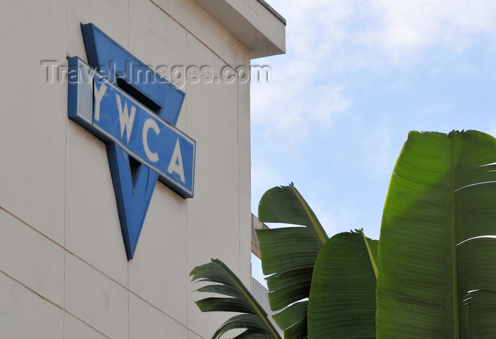 tanzania221: Dar es Salaam, Tanzania: YWCA Hostel  and banana tree leaves - Maktaba Street - Young Women's Christian Association - photo by M.Torres - (c) Travel-Images.com - Stock Photography agency - Image Bank