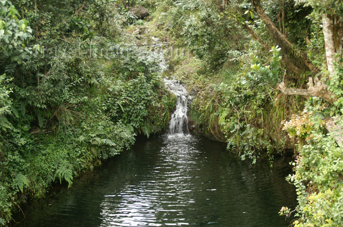 tanzania28: Tanzania - Kilimanjaro NP: Marangu Route - day 1 - a small waterfall, in the rainforest - photo by A.Ferrari - (c) Travel-Images.com - Stock Photography agency - Image Bank