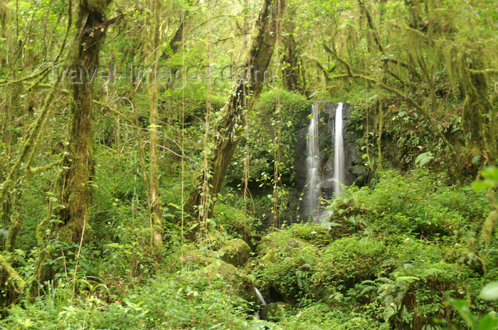 tanzania32: Tanzania - Kilimanjaro NP: Marangu Route - day 1 - waterfall, in the rainforest - photo by A.Ferrari - (c) Travel-Images.com - Stock Photography agency - Image Bank