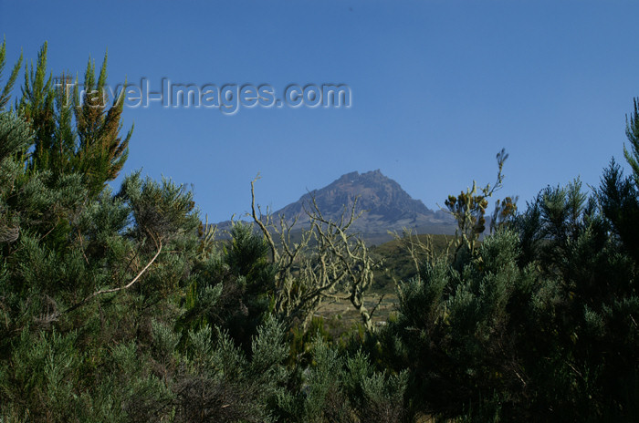 tanzania39: Tanzania - Kilimanjaro NP: Marangu Route - day 2 - Mount Kilimanjaro, the Mawenzi Peak seen from the moorlands - photo by A.Ferrari - (c) Travel-Images.com - Stock Photography agency - Image Bank