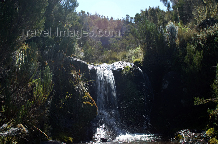 tanzania44: Tanzania - Kilimanjaro NP: Marangu Route - day 2 - waterfall in the moorlands - photo by A.Ferrari - (c) Travel-Images.com - Stock Photography agency - Image Bank