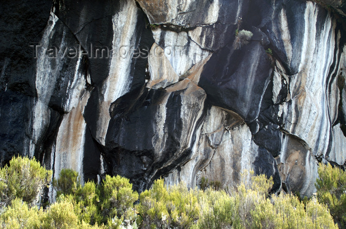 tanzania49: Tanzania - Kilimanjaro NP: Marangu Route - day 3 - Zebra Rocks - detail - photo by A.Ferrari - (c) Travel-Images.com - Stock Photography agency - Image Bank