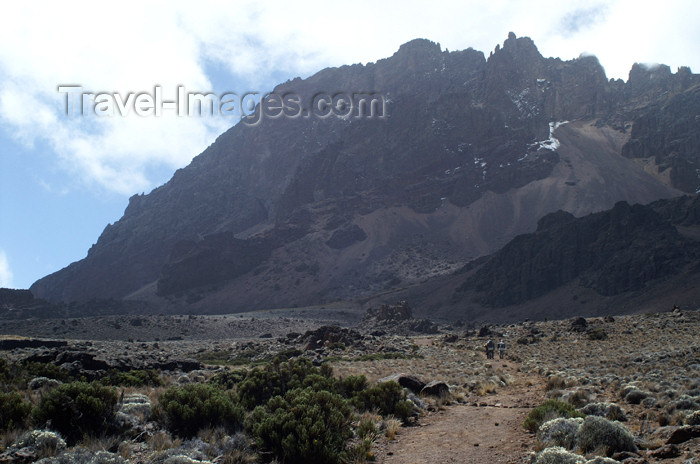 tanzania51: Tanzania - Kilimanjaro NP: Marangu Route - day 3 - approaching Mawenzi hut - photo by A.Ferrari - (c) Travel-Images.com - Stock Photography agency - Image Bank