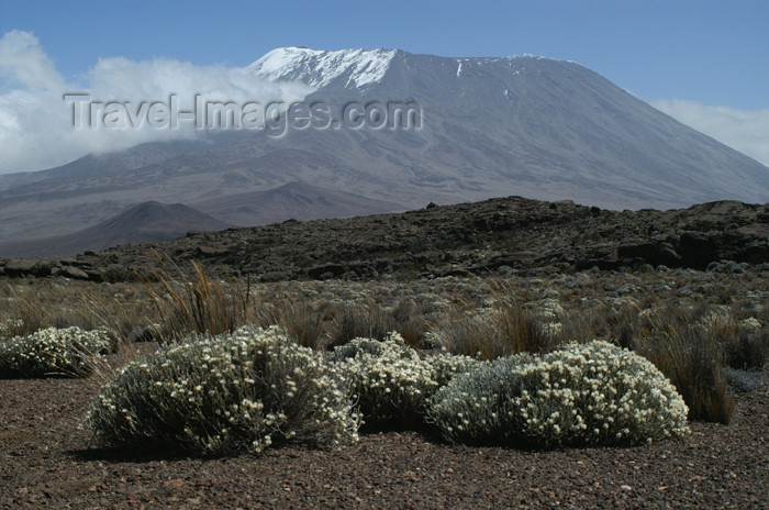 tanzania52: Tanzania - Kilimanjaro NP: Marangu Route - day 3 - Mount KIlimanjaro, the Kibo peak seen from the Mawenzi hut - photo by A.Ferrari - (c) Travel-Images.com - Stock Photography agency - Image Bank