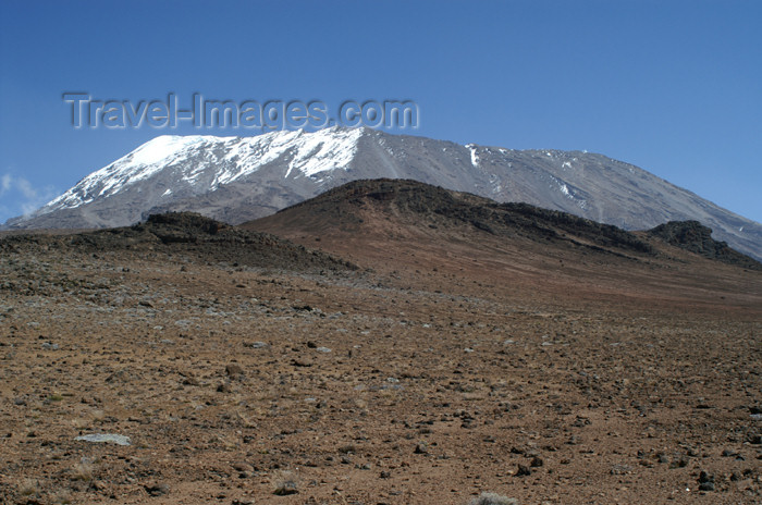 tanzania62: Tanzania - Kilimanjaro NP: Marangu Route - day 4 - Mount Kilimanjaro, Kibo seen from the Saddle - photo by A.Ferrari - (c) Travel-Images.com - Stock Photography agency - Image Bank