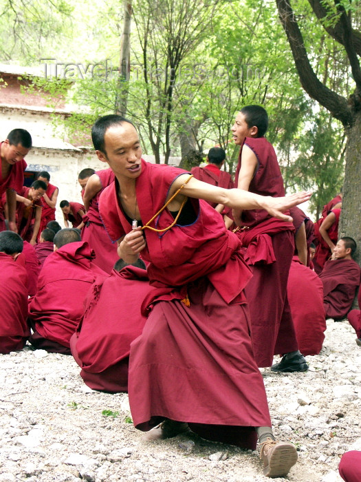 tibet10: Tibet - Sera Monastery: monks -  one of the 'great three' Gelukpa university monasteries of Tibet - photo by P.Artus - (c) Travel-Images.com - Stock Photography agency - Image Bank