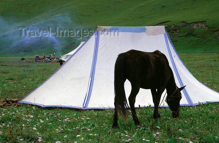 tibet101: Tibet - white tent and horse - photo by Y.Xu - (c) Travel-Images.com - Stock Photography agency - Image Bank