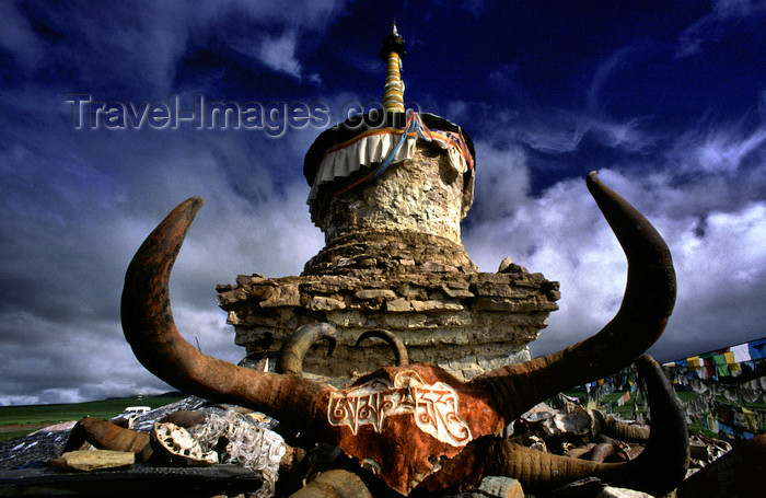 tibet102: Tibet - yak skull - six truth words - Mani stones and chorten - photo by Y.Xu - (c) Travel-Images.com - Stock Photography agency - Image Bank