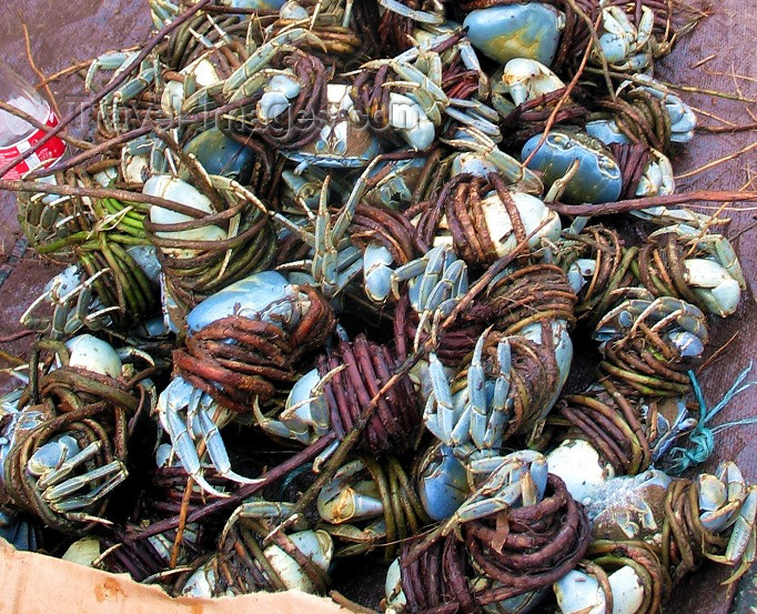 trinidad-tobago5: Trinidad - Port of Spain: blue crabs - photo by P.Baldwin - (c) Travel-Images.com - Stock Photography agency - Image Bank