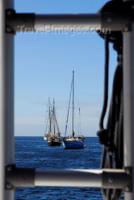 trinidad-tobago70: Chaguaramas Bay, Trinidad: sailing boats - photo by E.Petitalot - (c) Travel-Images.com - Stock Photography agency - Image Bank