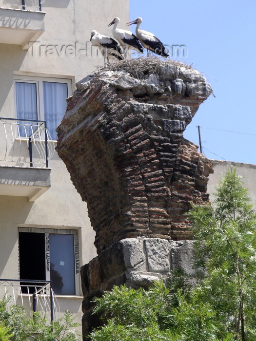 turkey151: Turkey - Selcuk (Izmir province): storks on a ruined aqueduct - photo by R.Wallace - (c) Travel-Images.com - Stock Photography agency - Image Bank