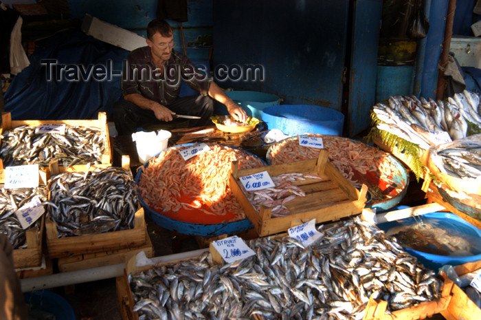 turkey181: Istanbul, Turkey: fish market - photo by J.Wreford - (c) Travel-Images.com - Stock Photography agency - Image Bank