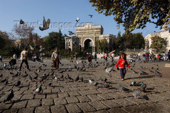 turkey214: Istanbul, Turkey: chasing pigeons outside Istanbul University - photo by J.Wreford - (c) Travel-Images.com - Stock Photography agency - Image Bank