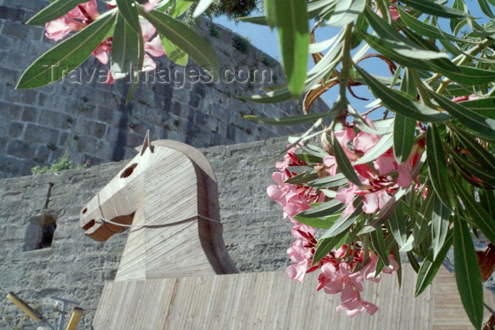 turkey224: Turkey - Bodrum (Mugla Province): Trojan horse - photo by M.Bergsma - (c) Travel-Images.com - Stock Photography agency - Image Bank