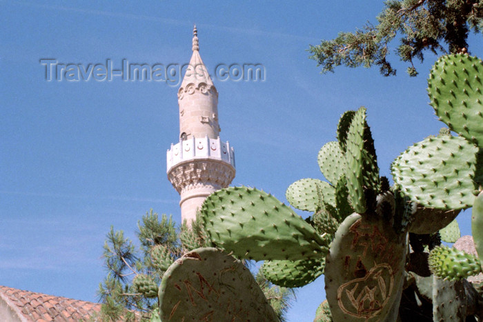 turkey229: Bodrum - Mugla Province, Aegean region, Turkey: minaret and cactus - St. Peter's castle - photo by M.Bergsma - (c) Travel-Images.com - Stock Photography agency - Image Bank