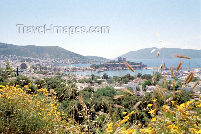 turkey230: Turkey - Bodrum (Mugla Province): St. Peter's castle and the Gulf of Gokova - photo by M.Bergsma - (c) Travel-Images.com - Stock Photography agency - Image Bank