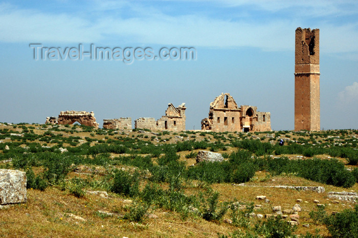 turkey301: Turkey - Harran (Sanli Urfa province): ancient Carrhes - architecture from the period of Umayyad Caliph - photo by C. le Mire - (c) Travel-Images.com - Stock Photography agency - Image Bank