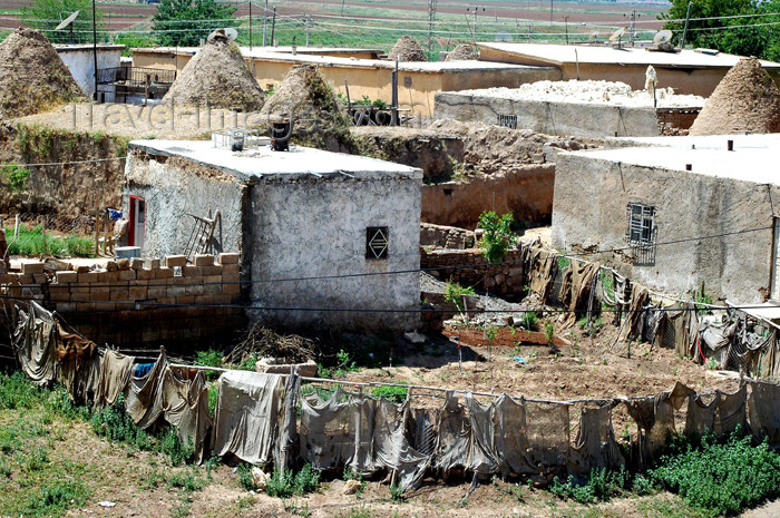 turkey306: Turkey - Harran: beehive houses built in adobe - vegetable-garden - photo by C. le Mire - (c) Travel-Images.com - Stock Photography agency - Image Bank