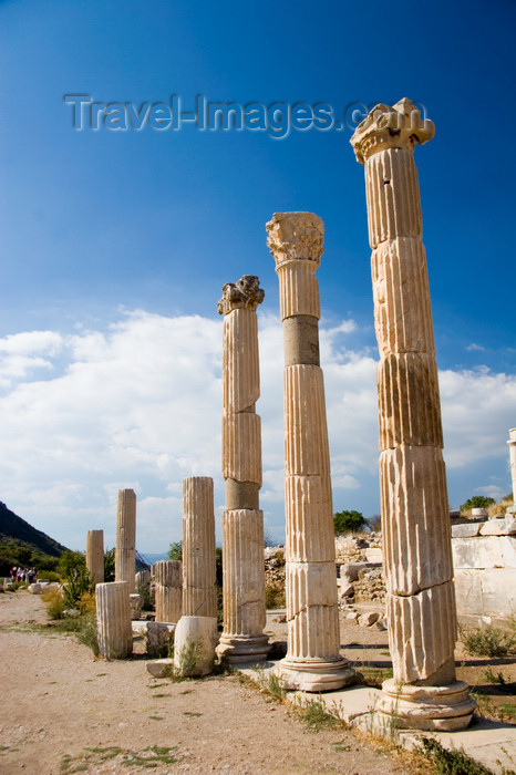 turkey43: Efes / Ephesus - Selcuk, Izmir province, Turkey: tall columns of the Arcadian way - Harbor Street - situated between the Harbour Baths and the great theatre - Roman ruins - photo by D.Smith - (c) Travel-Images.com - Stock Photography agency - Image Bank