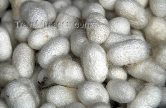 turkey439: Istanbul, Turkey: silkworm cocoons - Bombyx mori - Arasta-Bazaar - Eminönü-District - photo by M.Torres - (c) Travel-Images.com - Stock Photography agency - Image Bank