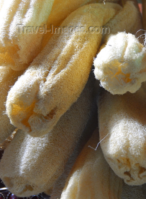 turkey455: Istanbul, Turkey: natural sponges - Spice Bazaar aka Egyptian Bazaar - Eminönü District - photo by M.Torres - (c) Travel-Images.com - Stock Photography agency - Image Bank