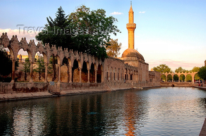 turkey53: Urfa / Edessa / Urhai / Riha / Sanliurfa, Southeastern Anatolia, Kurdistan, Turkey: Pool of Sacred Fish - where Abraham was thrown into the fire by Nimrod - Balikligöl - Halil-ur-Rahman mosque - photo by C. le Mire - (c) Travel-Images.com - Stock Photography agency - Image Bank