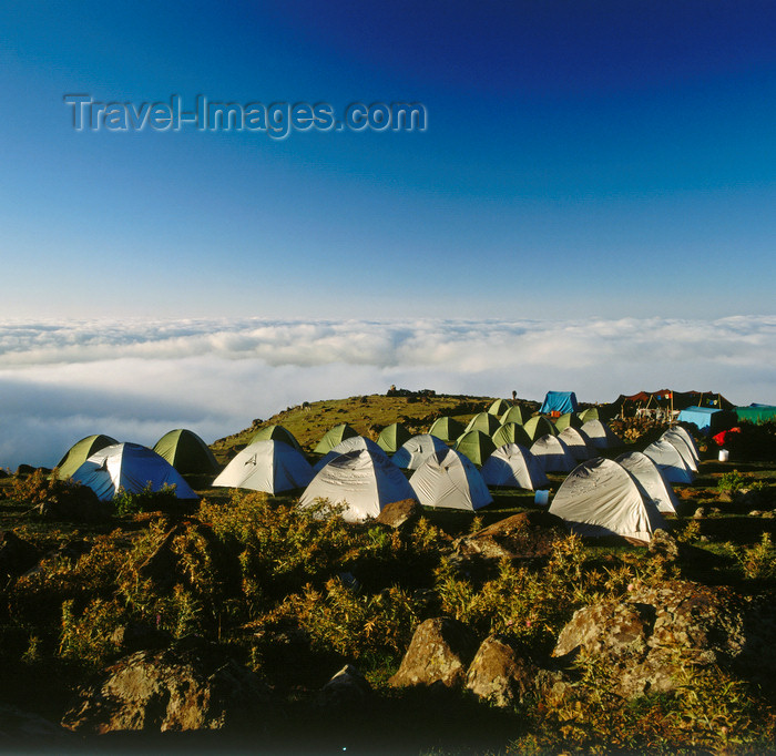 turkey542: Mount Ararat, Agri Province, East Anatolia, Turkey: tents at the base camp - mountaineering expedition - photo by W.Allgöwer - (c) Travel-Images.com - Stock Photography agency - Image Bank