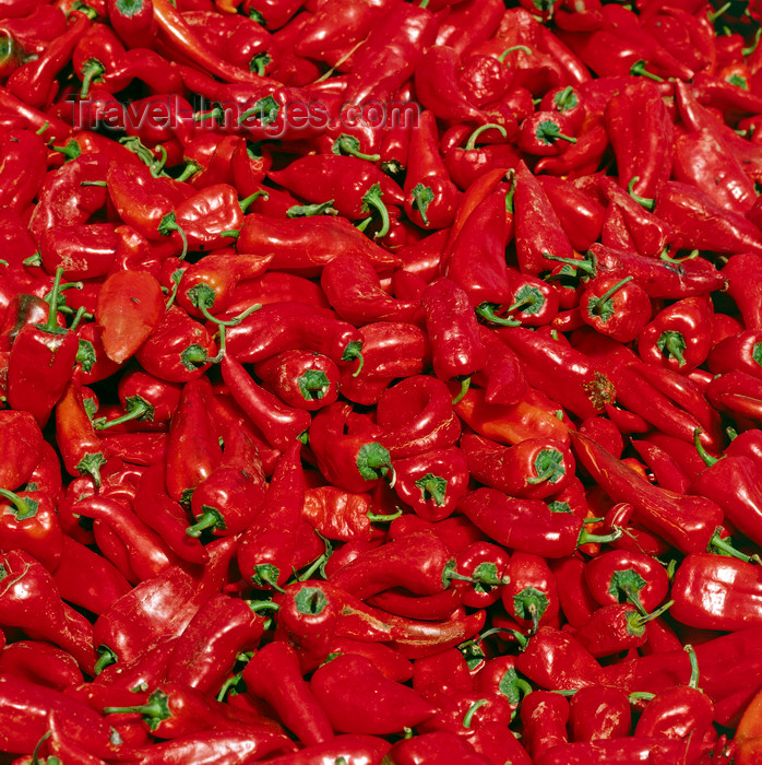 turkey546: Agri province, East Anatolia, Turkey: deep red paprika - bell peppers - food - photo by W.Allgöwer - (c) Travel-Images.com - Stock Photography agency - Image Bank