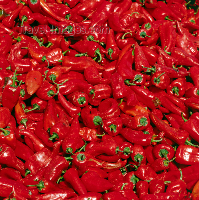 turkey546: Agri province, East Anatolia, Turkey: deep red paprika - bell peppers - food - photo by W.Allgöwer - (c) Travel-Images.com - Stock Photography agency - Image Bank