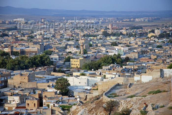 turkey567: Urfa / Edessa / Sanliurfa, Southeastern Anatolia, Turkey: the city seen from the citadel - Ulu Cami - photo by W.Allgöwer - (c) Travel-Images.com - Stock Photography agency - Image Bank