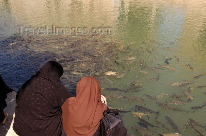 turkey572: Urfa / Edessa / Sanliurfa, Southeastern Anatolia, Turkey: Balikligöl - pool of sacred fish - Nimrod had Abraham immolated on a funeral pyre, but God turned fire into water and coal into fish - carps - photo by J.Wreford - (c) Travel-Images.com - Stock Photography agency - Image Bank