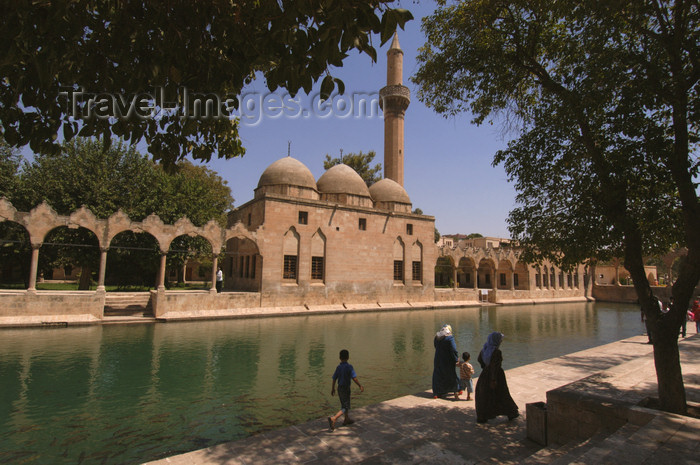 turkey574: Urfa / Edessa / Sanliurfa, Southeastern Anatolia, Turkey: people walk along the pool of Sacred Fish - Balikligöl - photo by J.Wreford - (c) Travel-Images.com - Stock Photography agency - Image Bank