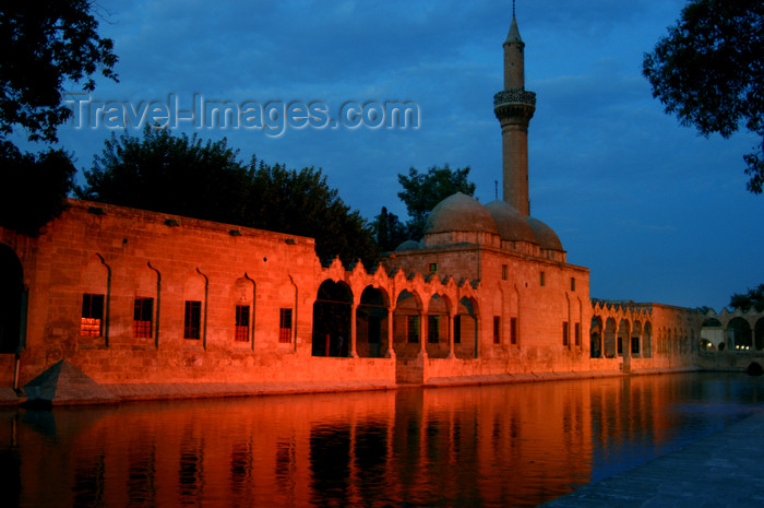 turkey576: Urfa / Edessa / Sanliurfa, Southeastern Anatolia, Turkey: pool of Sacred Fish - Balikligöl - mosque of Halil-ur-Rahman mosque, built by the Ayyubids in 1211 - nocturnal - photo by J.Wreford - (c) Travel-Images.com - Stock Photography agency - Image Bank