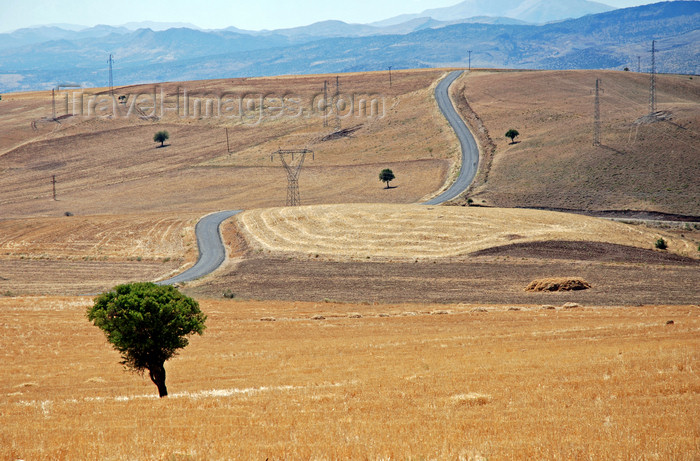 turkey586: Adiyaman province, Southeastern Anatolia, Turkey: D360 road and pylons - Taurus mountains landscape - photo by W.Allgöwer - (c) Travel-Images.com - Stock Photography agency - Image Bank