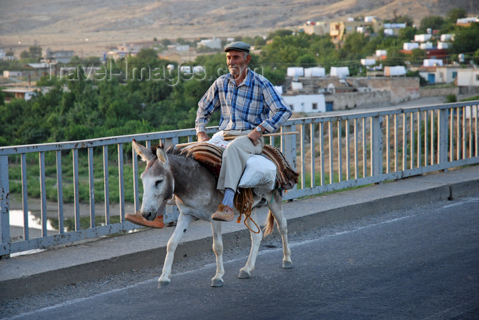 turkey615: Hasankeyf / Heskif, Batman Province, Southeastern Anatolia, Turkey: an old Kurdish man crosses the bridge on his donkey - Atatürk coined the term “Mountain Turks” as an euphemism for the Kurdish people - photo by W.Allgöwer - (c) Travel-Images.com - Stock Photography agency - Image Bank