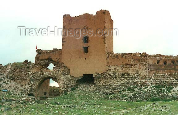 turkey63: Turkey - Ani (Kars province): city gate - photo by G.Frysinger - (c) Travel-Images.com - Stock Photography agency - Image Bank