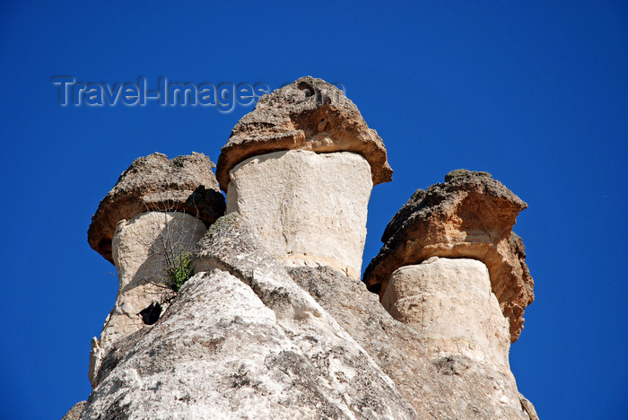 turkey639: Cappadocia - Göreme, Nevsehir province, Central Anatolia, Turkey: triple fairy chimney in the Valley of the Monks - Pasabagi Valley - photo by W.Allgöwer - (c) Travel-Images.com - Stock Photography agency - Image Bank