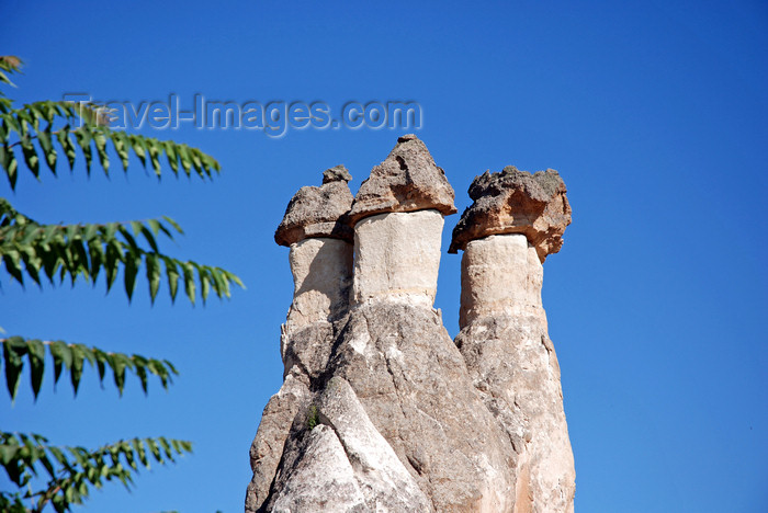 turkey641: Cappadocia - Göreme, Nevsehir province, Central Anatolia, Turkey: leaves and triple fairy chimney in the Valley of the Monks - Pasabagi Valley - photo by W.Allgöwer - (c) Travel-Images.com - Stock Photography agency - Image Bank