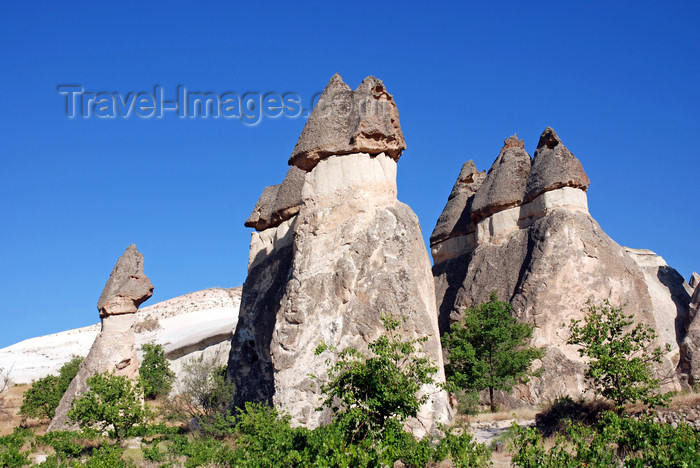 turkey650: Cappadocia - Göreme, Nevsehir province, Central Anatolia, Turkey: basalt over tuff - fairy chimneys and a bit of forest - Valley of the Monks - Pasabagi Valley- photo by W.Allgöwer - (c) Travel-Images.com - Stock Photography agency - Image Bank