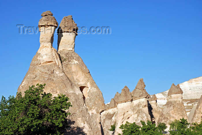 turkey657: Cappadocia - Göreme, Nevsehir province, Central Anatolia, Turkey: fairy chimneys and trees - earth pyramids - Valley of the Monks - Pasabagi Valley- photo by W.Allgöwer - (c) Travel-Images.com - Stock Photography agency - Image Bank