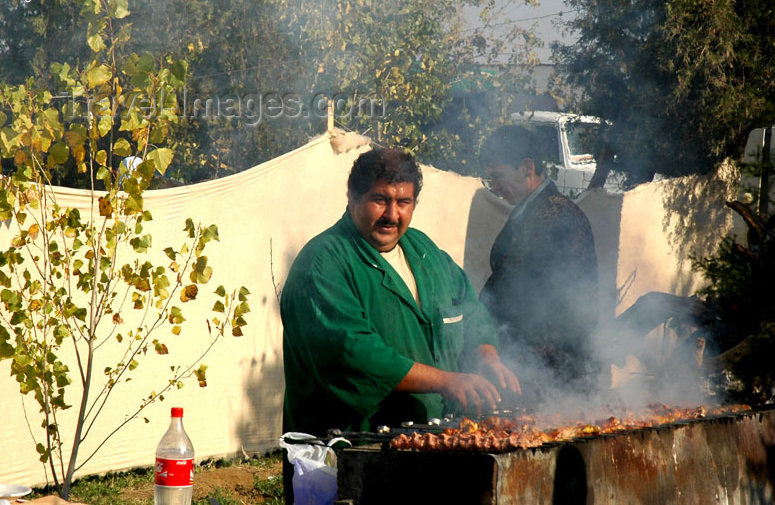 turkmenistan40: Turkmenistan - Ashghabat: Shashlyk grilled over charcoal - skewered chunks of mutton - Central Asian food - photo by G.Karamyanc - (c) Travel-Images.com - Stock Photography agency - Image Bank