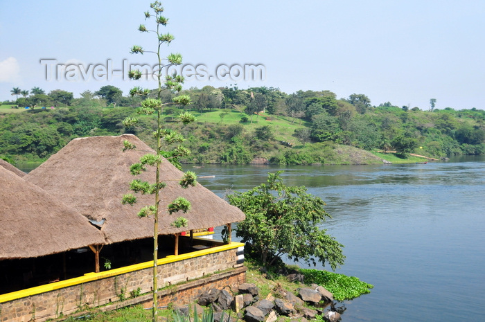 uganda146: Jinja, Uganda: source of the Nile river - small boat terminal and century plant - photo by M.Torres - (c) Travel-Images.com - Stock Photography agency - Image Bank