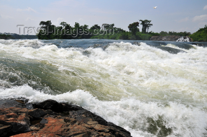 uganda153: Bujagali Falls, Jinja district, Uganda: fast water flow on a step on the river Nile - seen from the Eastern bank - in 2012 the falls were submerged by the Bujagali Dam - photo by M.Torres - (c) Travel-Images.com - Stock Photography agency - Image Bank