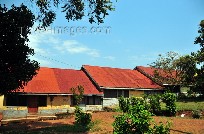 uganda169: Entebbe, Wakiso District, Uganda: red roofed houses on Hill Road - photo by M.Torres - (c) Travel-Images.com - Stock Photography agency - Image Bank